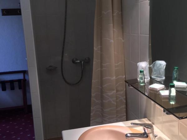 Hôtel Les Soldanelles : photo 2 de la chambre chambre simple avec douche 