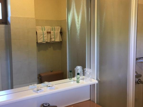 Hôtel Les Soldanelles : photo 2 de la chambre chambre lits jumeaux avec douche 