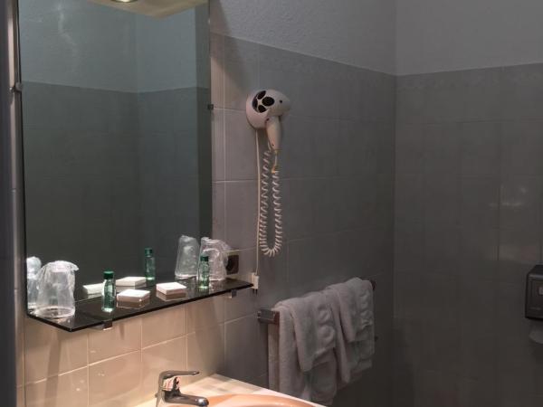 Hôtel Les Soldanelles : photo 3 de la chambre chambre simple avec douche 