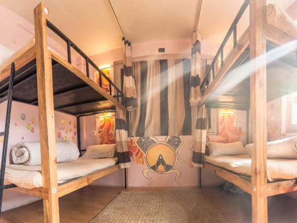 Wander Thirst : photo 6 de la chambre lit dans dortoir mixte de 4 lits