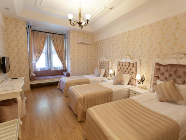 Aspen Hotel Kaleiçi : photo 1 de la chambre chambre triple standard