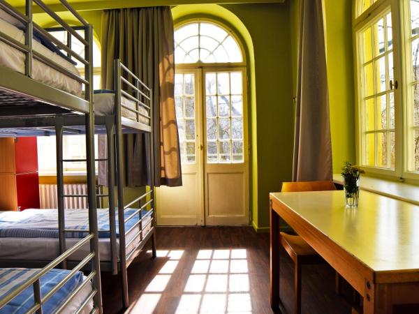 Amstel House Hostel : photo 3 de la chambre lit simple dans dortoir de 12 lits