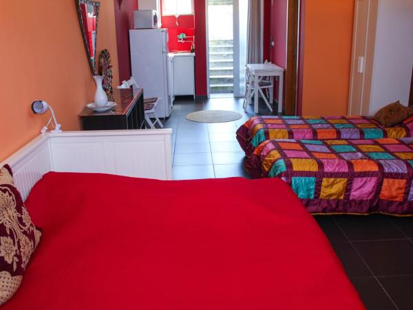 Porto Riad - Guest House : photo 4 de la chambre studio