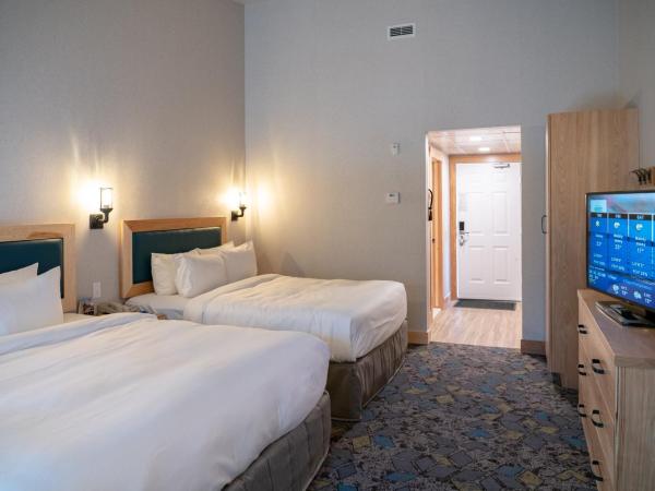 Tunnel Mountain Resort : photo 2 de la chambre suite supérieure avec lit queen-size et lit king-size