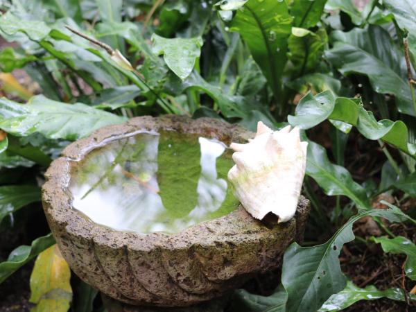 Casa Kin33 : photo 4 de la chambre bungalow standard avec ventilateur