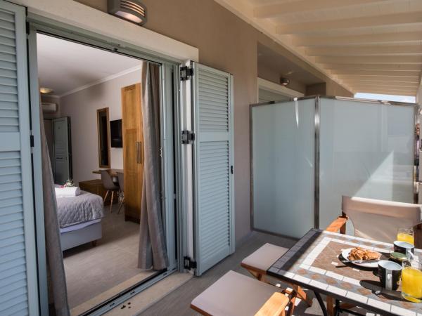 Summer Dream Lefkas : photo 2 de la chambre studio avec vue sur jardin