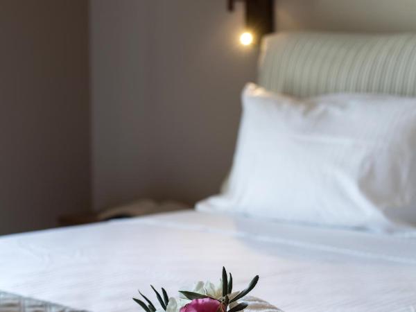 Summer Dream Lefkas : photo 5 de la chambre studio avec vue sur jardin