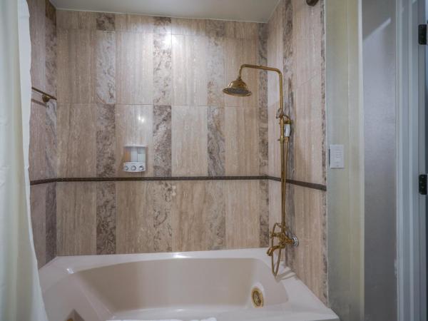 Houston Towers, Downtown Med Ctr, NRG, Adults only : photo 10 de la chambre skylight tower suite