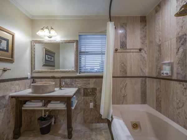 Houston Towers, Downtown Med Ctr, NRG, Adults only : photo 9 de la chambre skylight tower suite