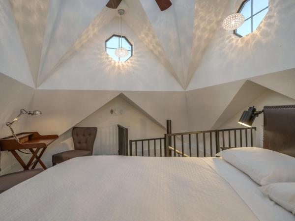 Houston Towers, Downtown Med Ctr, NRG, Adults only : photo 6 de la chambre skylight tower suite