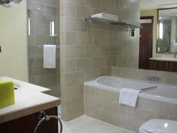 Ramada by Wyndham Downtown Dubai : photo 9 de la chambre hébergement 1 chambre lit king-size, balcon avec vue sur fontaine, fumeurs