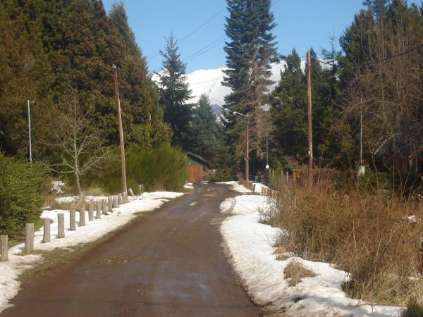 Tinsel's House : photo 5 de la chambre bungalow