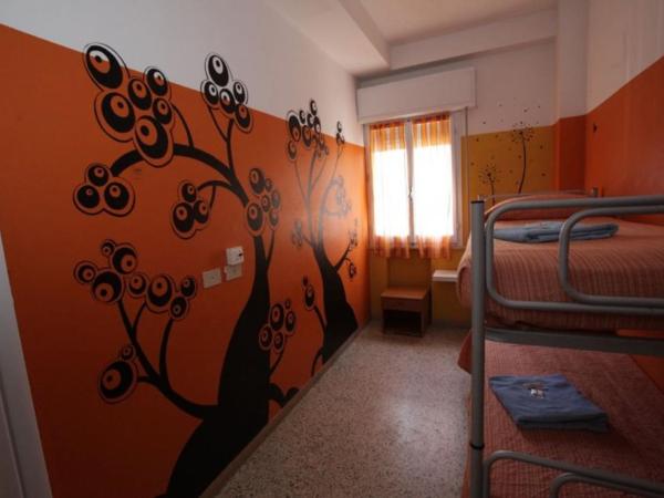 Sunflower Beach Backpacker Hostel & Bar : photo 2 de la chambre chambre simple avec salle de bains privative