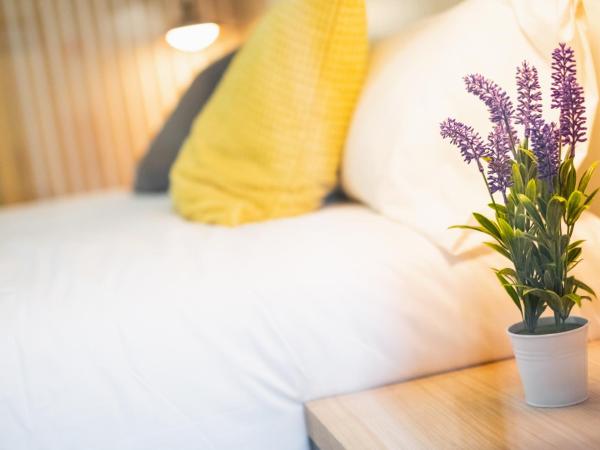 Pensión Arroka : photo 3 de la chambre chambre familiale avec 2 salles de bains