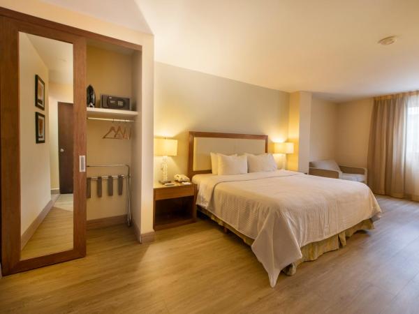 Antaris Valle : photo 1 de la chambre chambre lit king-size