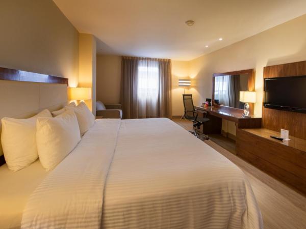 Antaris Valle : photo 2 de la chambre chambre lit king-size