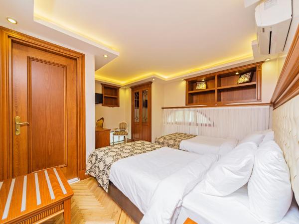 Hotel Spectra Sultanahmet : photo 1 de la chambre chambre lits jumeaux Économique