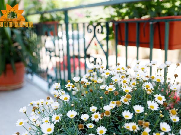 I Fiori di Margherita Luxury B&B : photo 5 de la chambre chambre double ou lits jumeaux supérieure avec vue sur ville