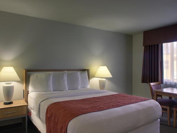 Aladdin Inn and Suites : photo 4 de la chambre chambre lit queen-size