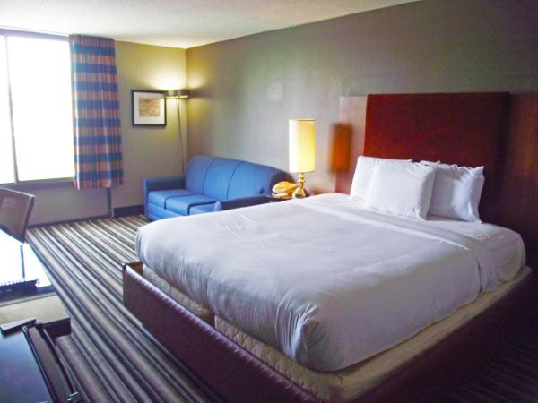 Travelodge by Wyndham Memphis Airport/Graceland : photo 4 de la chambre chambre lit king-size - non-fumeurs
