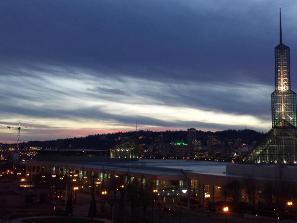 Inn at the Convention Center : photo 10 de la chambre chambre lit king-size deluxe