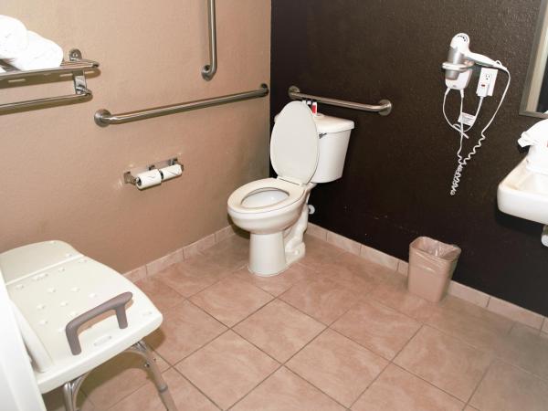 Microtel Inn & Suites by Wyndham Jacksonville Airport : photo 3 de la chambre chambre lit queen-size avec douche accessible en fauteuil roulant - adaptée aux personnes à mobilité réduite/malentendantes - non-fumeurs