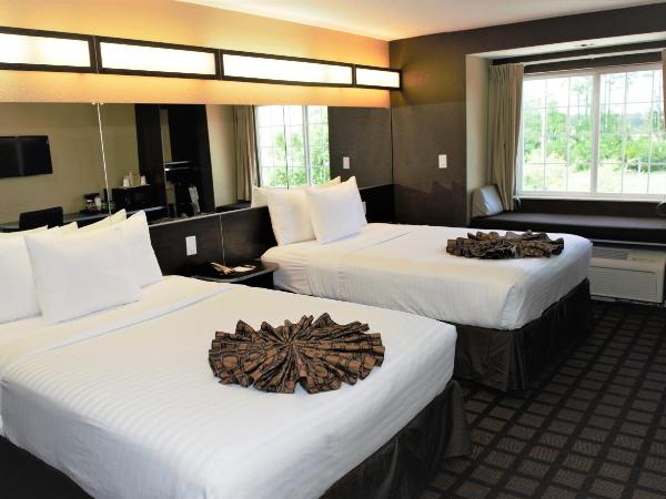 Microtel Inn & Suites by Wyndham Jacksonville Airport : photo 1 de la chambre chambre 2 lits queen-size - non-fumeurs