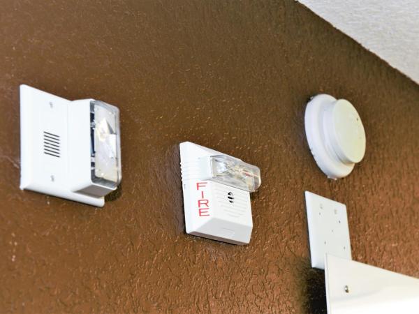 Microtel Inn & Suites by Wyndham Jacksonville Airport : photo 4 de la chambre chambre lit queen-size avec douche accessible en fauteuil roulant - adaptée aux personnes à mobilité réduite/malentendantes - non-fumeurs