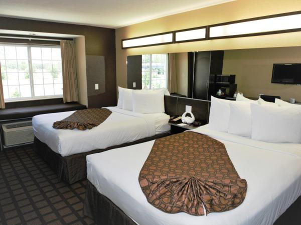 Microtel Inn & Suites by Wyndham Jacksonville Airport : photo 3 de la chambre chambre 2 lits queen-size - non-fumeurs