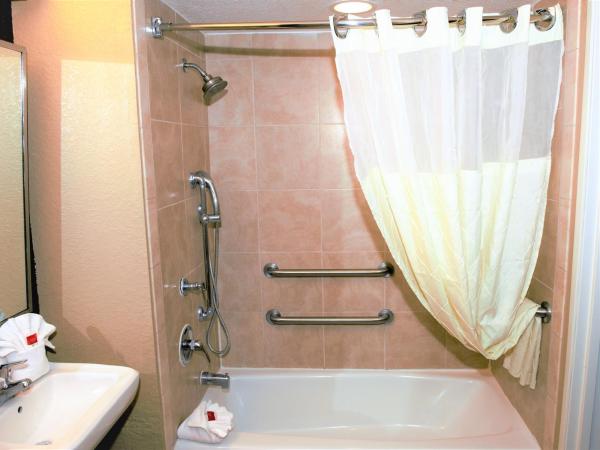 Microtel Inn & Suites by Wyndham Jacksonville Airport : photo 5 de la chambre chambre 2 lits queen-size - non-fumeurs