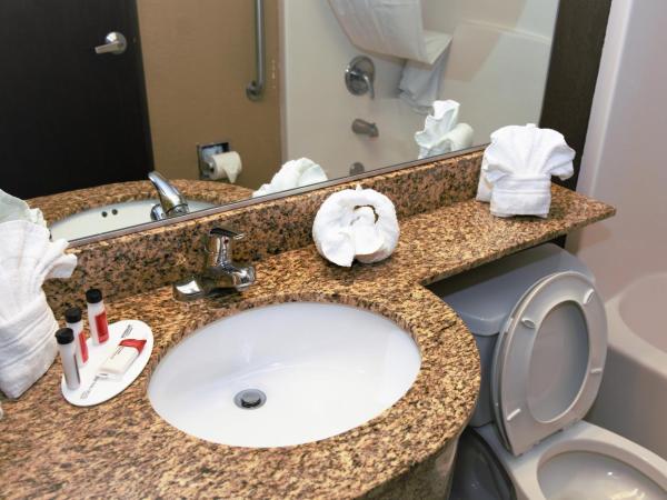 Microtel Inn & Suites by Wyndham Jacksonville Airport : photo 6 de la chambre chambre lit queen-size - non-fumeurs