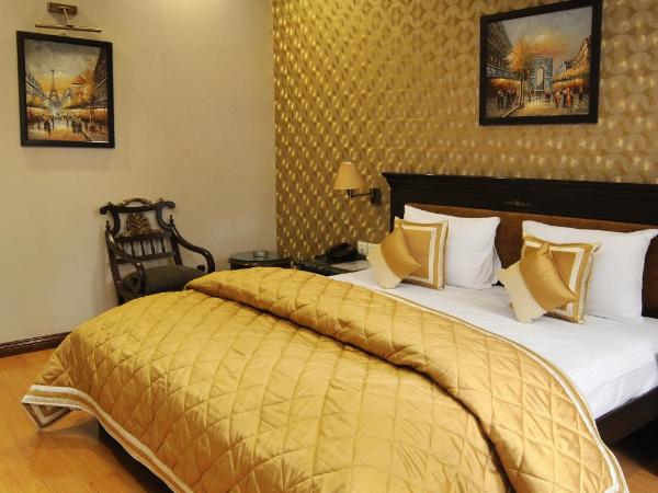 Hotel Diplomat Residency : photo 6 de la chambre chambre double deluxe