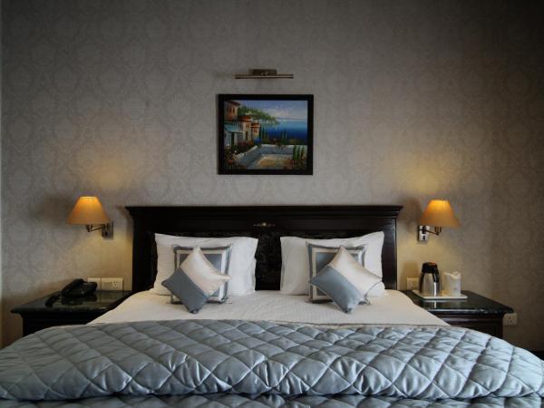 Hotel Diplomat Residency : photo 4 de la chambre chambre double exécutive