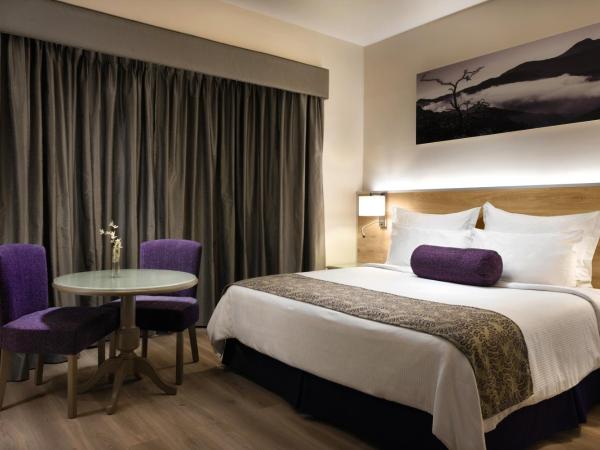 Krystal Monterrey : photo 2 de la chambre chambre lit king-size deluxe