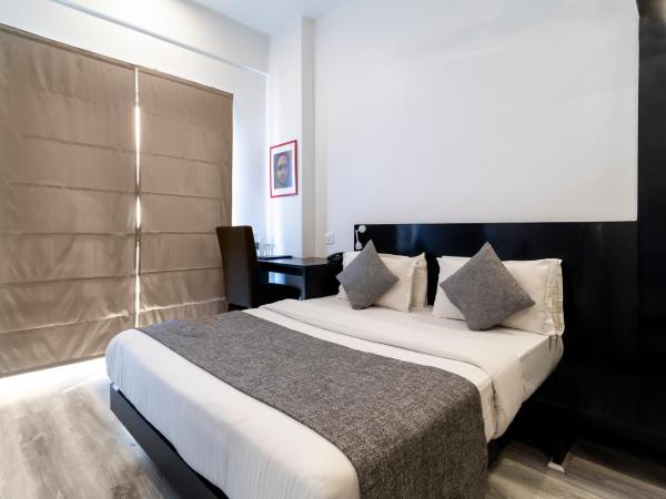 The Saneer Jaipur : photo 6 de la chambre chambre double standard