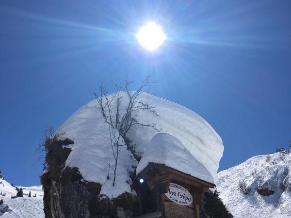 Les 4 Elements : photo 2 de la chambre appartement 2 chambres