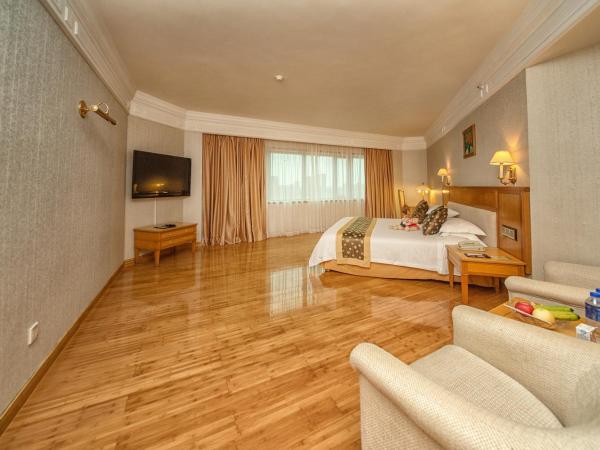 Hotel Silverland : photo 6 de la chambre chambre lit queen-size deluxe