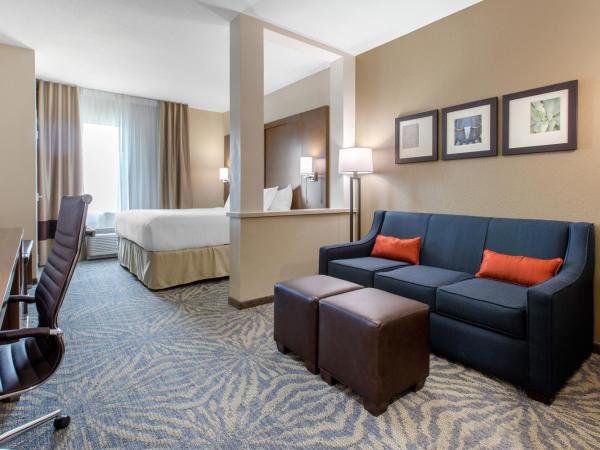 Comfort Suites - South Austin : photo 2 de la chambre suite lit king-size – non-fumeurs