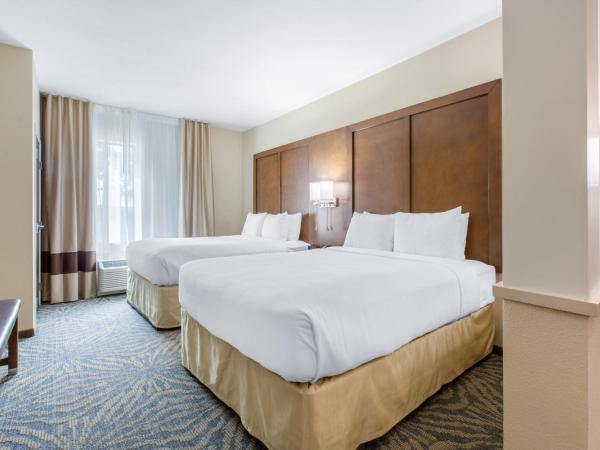 Comfort Suites - South Austin : photo 1 de la chambre suite 2 lits queen-size - non-fumeurs