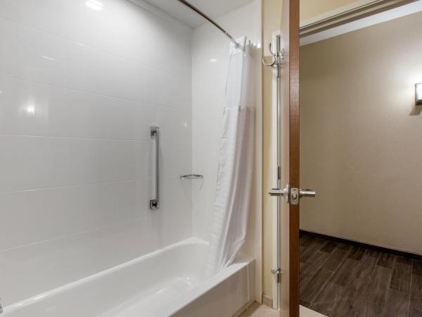 Comfort Suites - South Austin : photo 3 de la chambre suite 2 lits queen-size - non-fumeurs