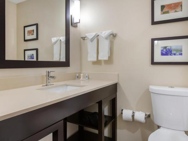 Comfort Suites - South Austin : photo 4 de la chambre suite lit king-size – non-fumeurs