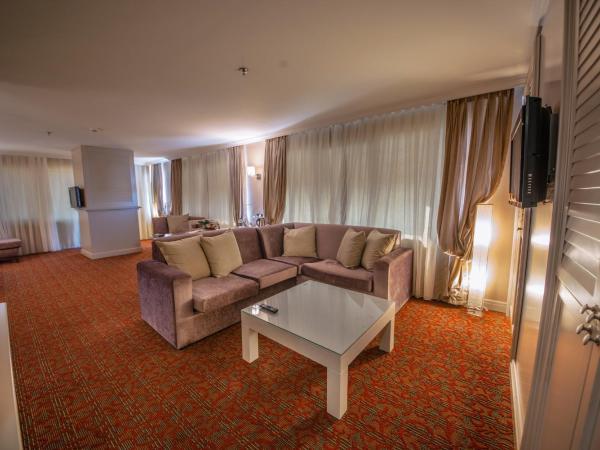 Dream Hill Business Deluxe Hotel Asia : photo 8 de la chambre suite