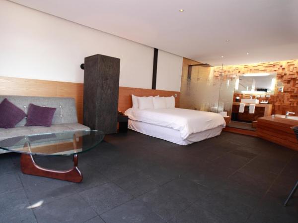 Hotel Boutique MO17 : photo 7 de la chambre grande suite