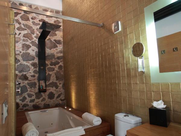 Hotel Boutique MO17 : photo 6 de la chambre suite