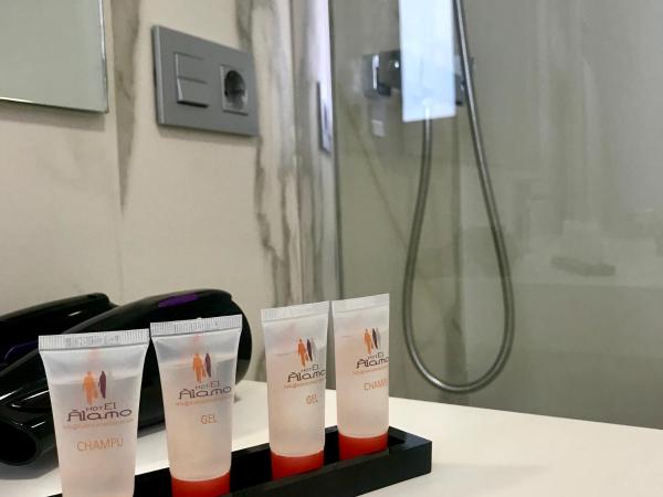 Hotel Alamo : photo 4 de la chambre chambre supérieure lit queen-size