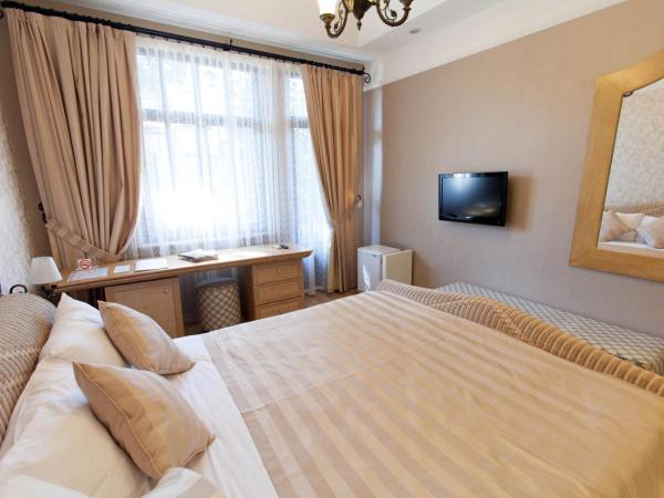 Aspen Hotel Kaleiçi : photo 3 de la chambre chambre double ou lits jumeaux deluxe avec balcon