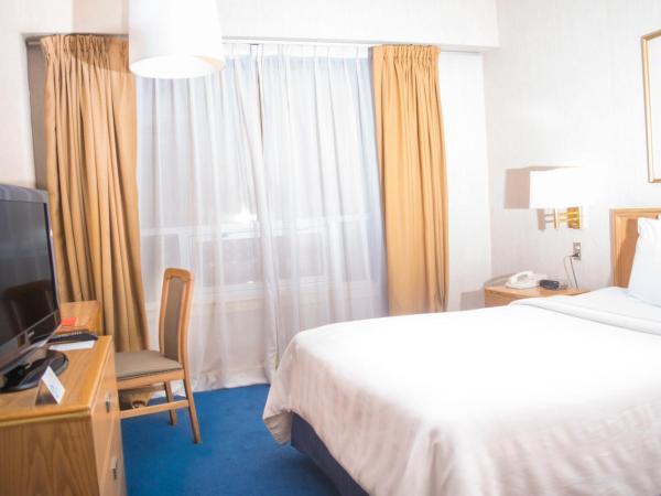 Travohotel Monterrey Histórico : photo 1 de la chambre chambre double