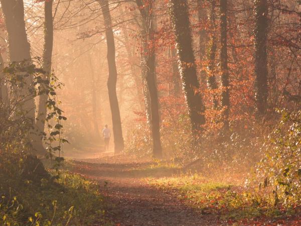 Parkhotel Mastbosch Breda : photo 8 de la chambre mastbosch tweepersoonskamer