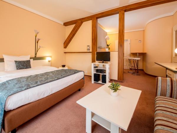 Aparthotel Villa Freisleben : photo 1 de la chambre chambre simple supérieure