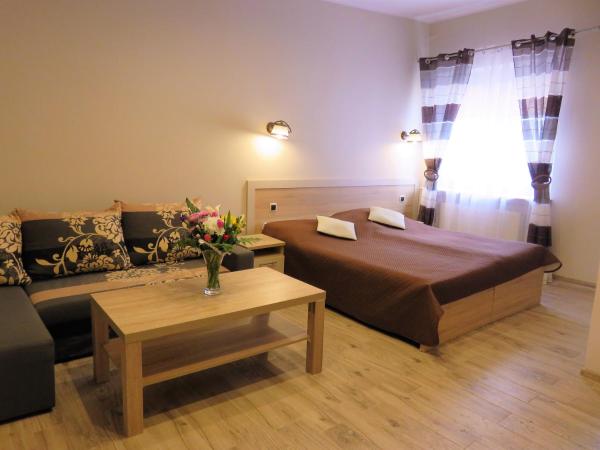 FALA na WYSPIE : photo 3 de la chambre studio
